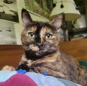 Meet your Posher, Joanna